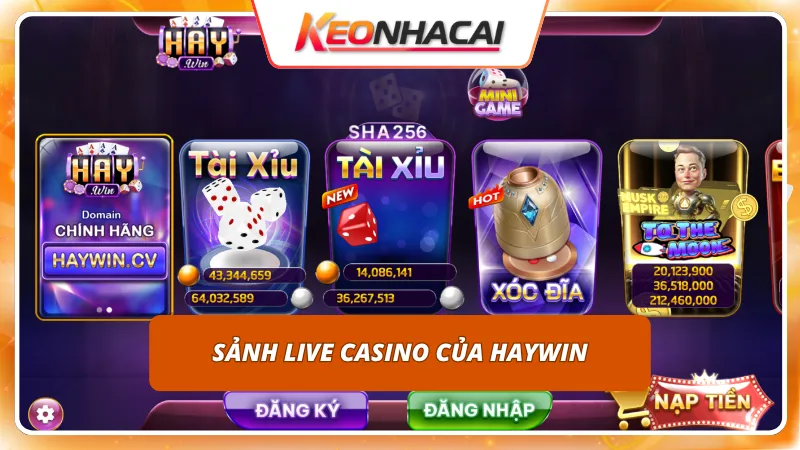 HAYWIN 4 Dẫn dắt duyên dáng từ Dealer mang lại không khí sòng bài thực