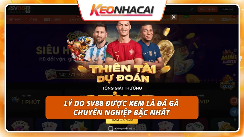 SV88 2 Tỷ lệ cược chiến kê cạnh tranh bậc nhất thị trường hiện nay