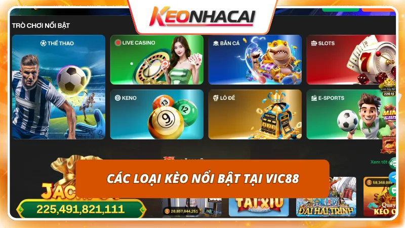 VIC88 4 Đủ các loại kèo chấp châu Á, kèo châu Âu và kèo tài xỉu thịnh hành