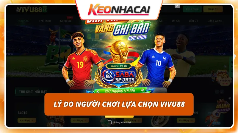 VIVU88 2 Vận hành trang cược chuyên nghiệp làm hài lòng mọi khách chơi