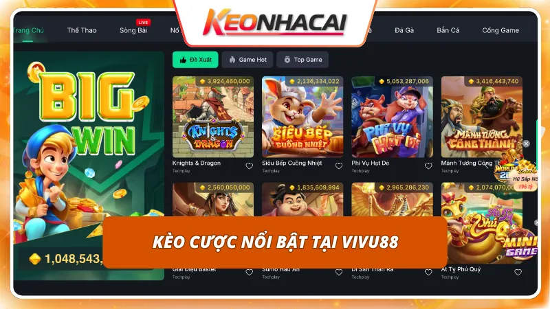 VIVU88 4 Tỷ lệ ăn thưởng cạnh tranh mở rộng cơ hội thu về lợi nhuận khủng
