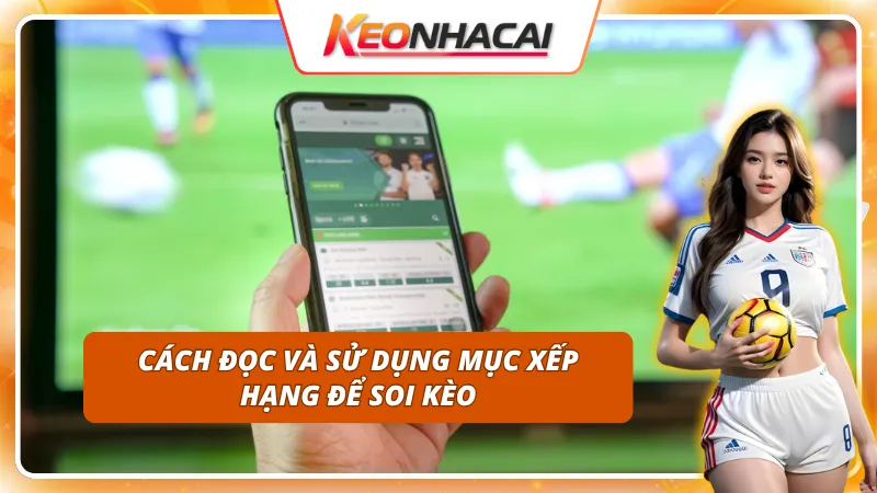 Bảng Xếp Hạng - Theo Dõi Xu Hướng Đội Bóng Trước Khi Vào Kèo 4 Hướng dẫn phân tích bảng xếp hạng để nắm chắc kèo thơm
