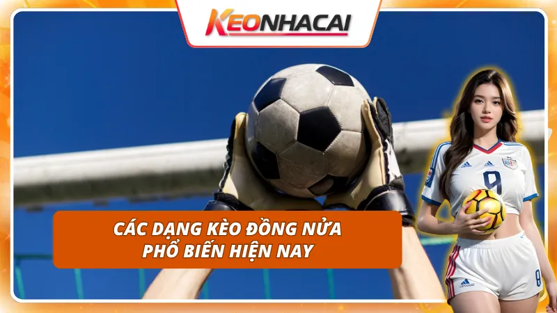 Kèo Đồng Nửa: Ưu Điểm, Rủi Ro Và Cách Chọn Kèo Hiệu Quả 2 4 loại Kèo Đồng Nửa thường gặp