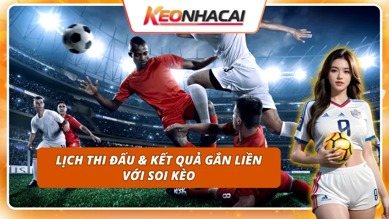 Kết Quả Bóng Đá - Cập Nhật Nhanh Tỷ Số Từ Mọi Giải Đấu Lớn 3 Xem lịch thi đấu cùng kết quả bóng đá để soi kèo như cao thủ
