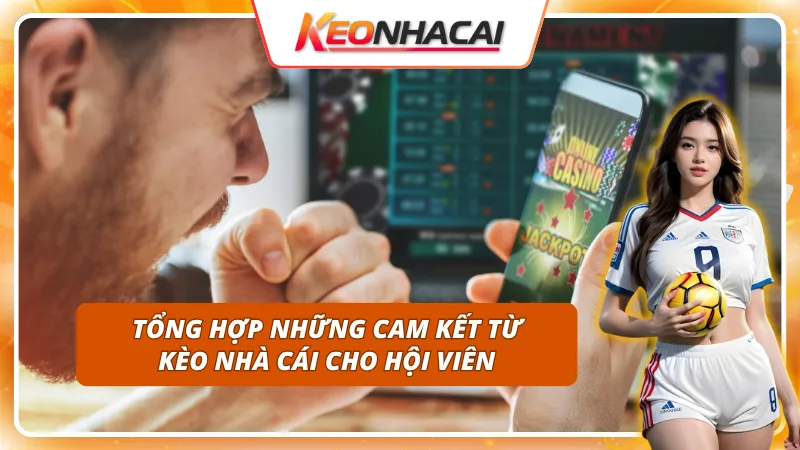 Về chúng tôi - Người Đồng Hành Đáng Tin Cậy Của Bet Thủ Việt 3 Về chúng tôi - Cam kết thông tin minh bạch và chính xác